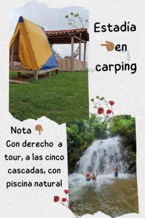 VALLE DE LAS CECROPIAS